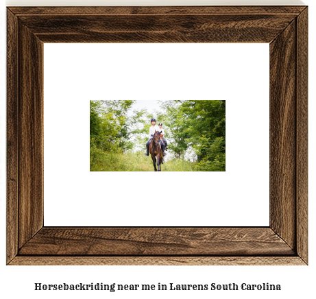 horseback riding near me in Laurens, South Carolina